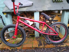 kink whip 2012
